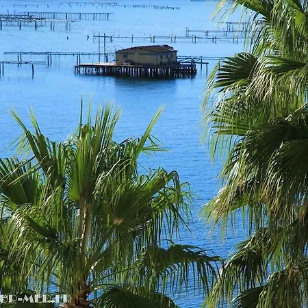 Les Lauriers, Clim Wifi Et Plages Apartamento *